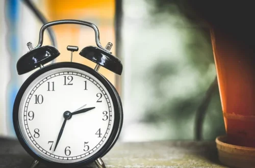 Uhr und Pflanze